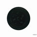 Engine Crankshaft Seal Timken SL260057