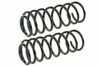 Coil Spring Set Mevotech SMS206V
