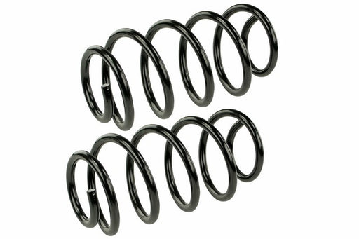 Coil Spring Set Mevotech SMS250134