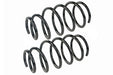 Coil Spring Set Mevotech SMS250137