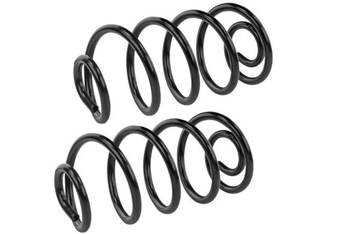 Coil Spring Set Mevotech SMS5415