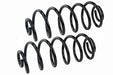 Coil Spring Set Mevotech SMS5541