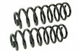 Coil Spring Set Mevotech SMS70026