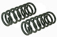 Coil Spring Set Mevotech SMS81649