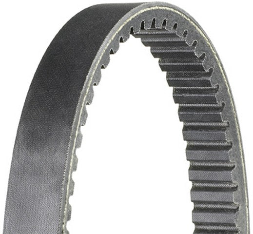 CVT Belt Dayco HP2012