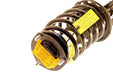 Suspension Strut and Coil Spring Assembly KYB SR4155