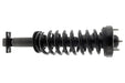 Suspension Strut and Coil Spring Assembly KYB SR4534