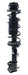 Suspension Strut and Coil Spring Assembly KYB SR4573