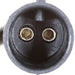 ABS Wheel Speed Sensor Delphi SS20030