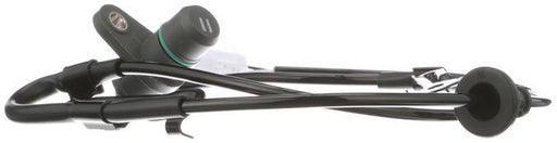 ABS Wheel Speed Sensor Delphi SS20856