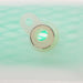 Fuel Pump Strainer Carter Fuel STS-134
