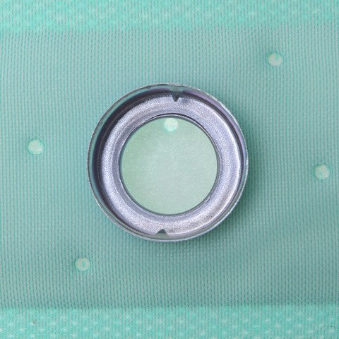 Fuel Pump Strainer Carter Fuel STS-2