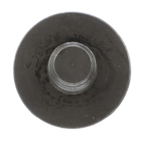 Steering Tie Rod End Delphi TA3198