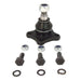 Suspension Ball Joint Delphi TC1714