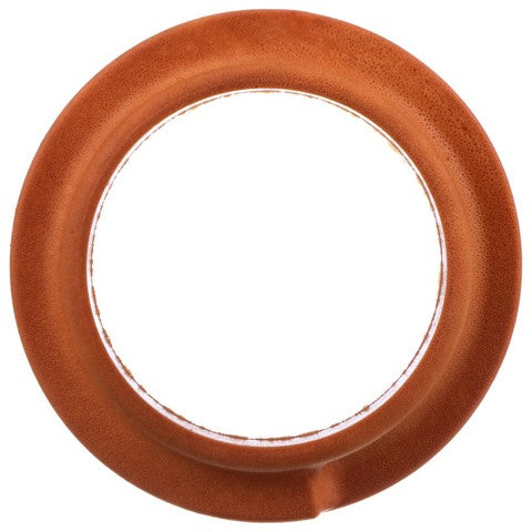 Suspension Coil Spring Seat Delphi TC6465