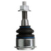 Suspension Ball Joint Delphi TC7971