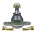 Suspension Ball Joint Delphi TC967
