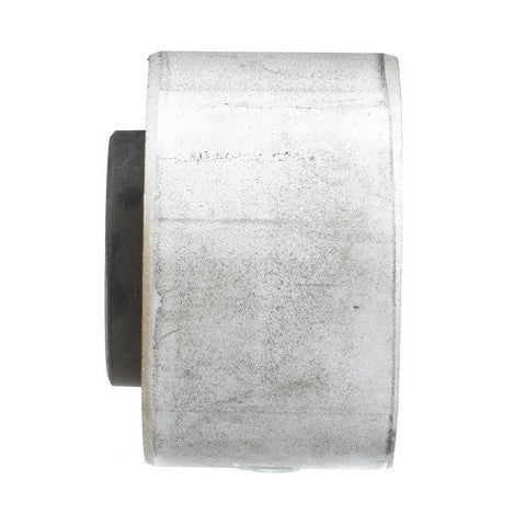Suspension Subframe Bushing Delphi TD1658W