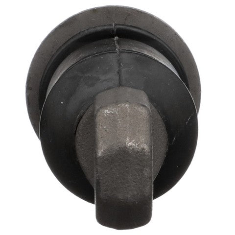 Suspension Control Arm Bushing Delphi TD4033W