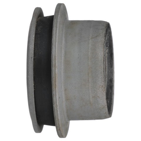 Suspension Control Arm Bushing Delphi TD4421W