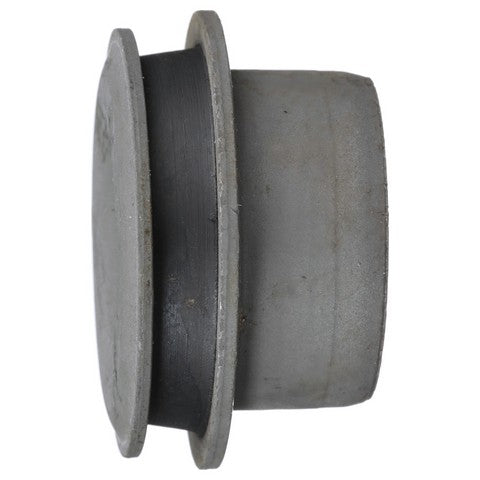Suspension Control Arm Bushing Delphi TD4421W
