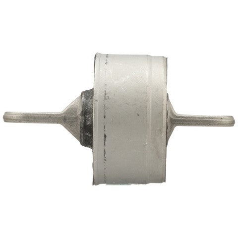 Suspension Trailing Arm Bushing Delphi TD4496W