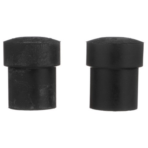 Leaf Spring Shackle Bushing Delphi TD4506W