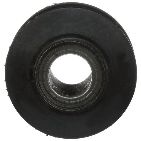Suspension Trailing Arm Bushing Delphi TD4615W