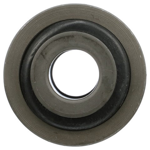 Suspension Control Arm Bushing Delphi TD4860W