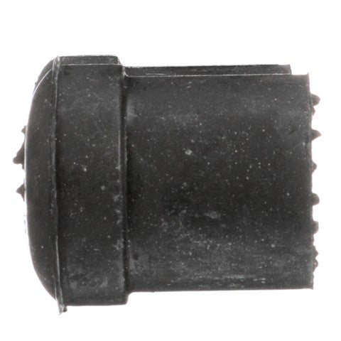 Leaf Spring Bushing Delphi TD4872W