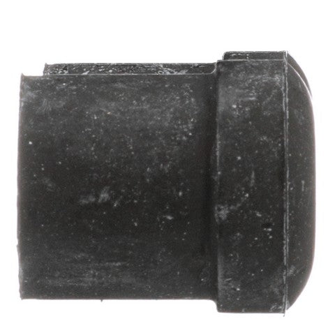 Leaf Spring Bushing Delphi TD4872W