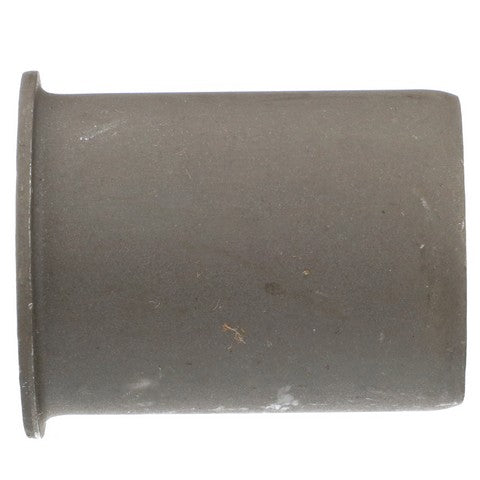 Suspension Control Arm Bushing Delphi TD4882W