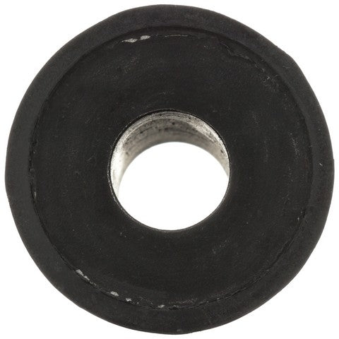 Rack and Pinion Mount Bushing Delphi TD4894W