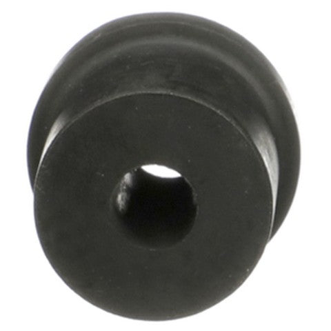 Leaf Spring Shackle Bushing Delphi TD4925W