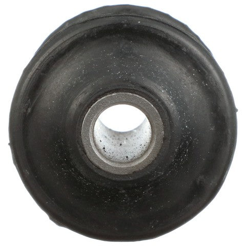 Suspension Control Arm Bushing Delphi TD493W