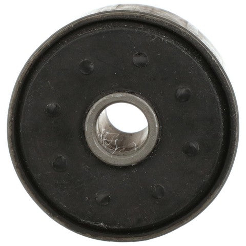 Leaf Spring Bushing Delphi TD5019W