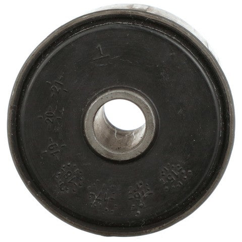 Leaf Spring Bushing Delphi TD5019W