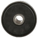 Leaf Spring Bushing Delphi TD5019W