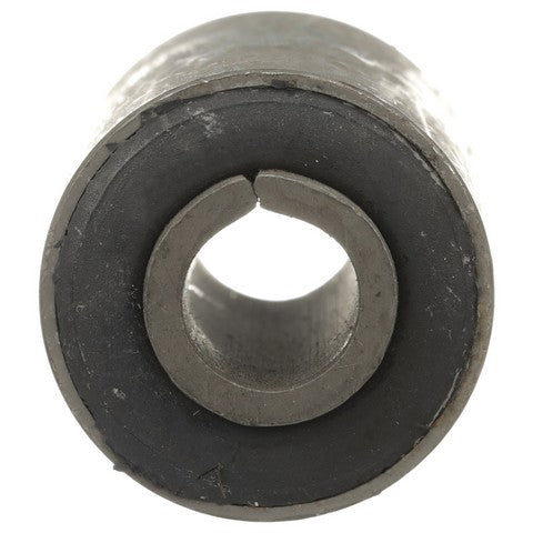 Leaf Spring Bushing Delphi TD5021W