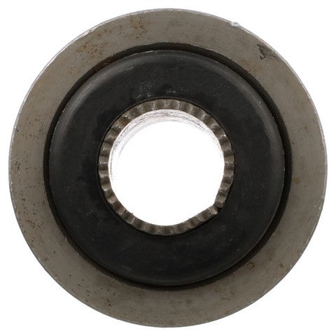 Suspension Control Arm Bushing Delphi TD5066W