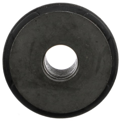 Suspension Control Arm Bushing Delphi TD5748W