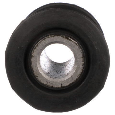 Leaf Spring Bushing Delphi TD5842W