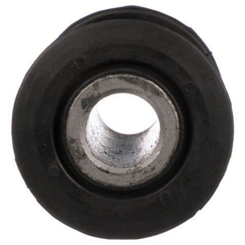 Leaf Spring Bushing Delphi TD5842W