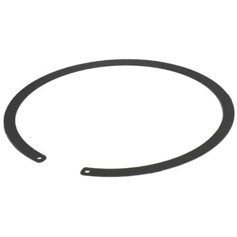 Fuel Tank Lock Ring Carter Fuel TLR10