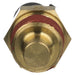 Engine Coolant Temperature Sensor Delphi TS10075