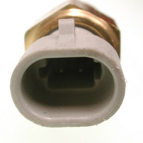 Air Charge Temperature Sensor Delphi TS10080