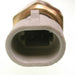 Air Charge Temperature Sensor Delphi TS10080