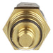 Engine Coolant Temperature Sensor Delphi TS10149