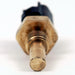 Engine Coolant Temperature Sensor Delphi TS10198