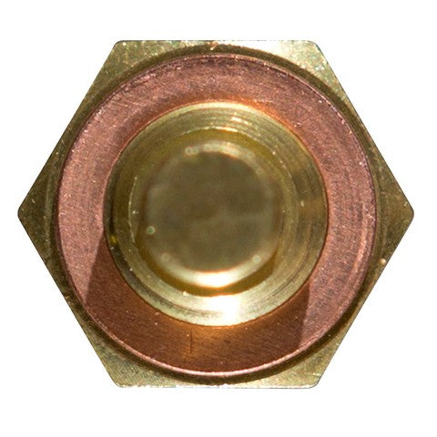 Engine Coolant Temperature Sensor Delphi TS10250